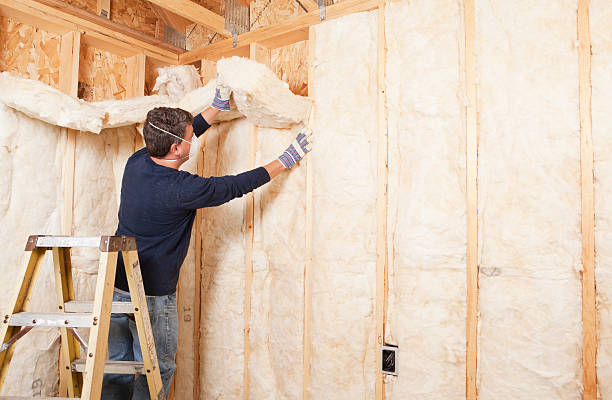 Best Basement Insulation  in , OH